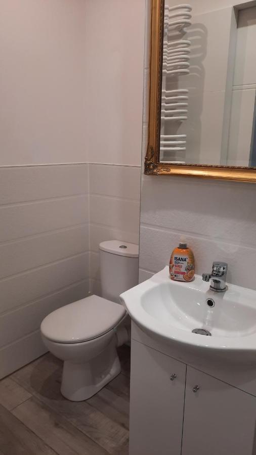 Apartament Katowicka Apartment Poznan Ngoại thất bức ảnh